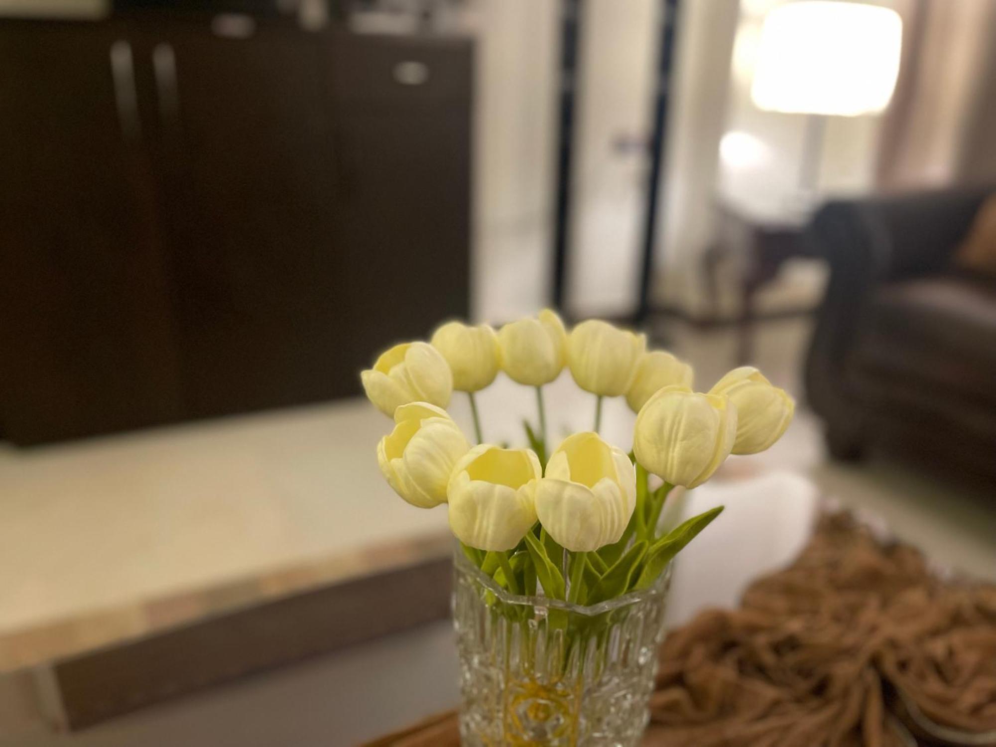 Royal In Private New In 255 Panafsig 11 Appartement